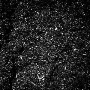 Black Mulch