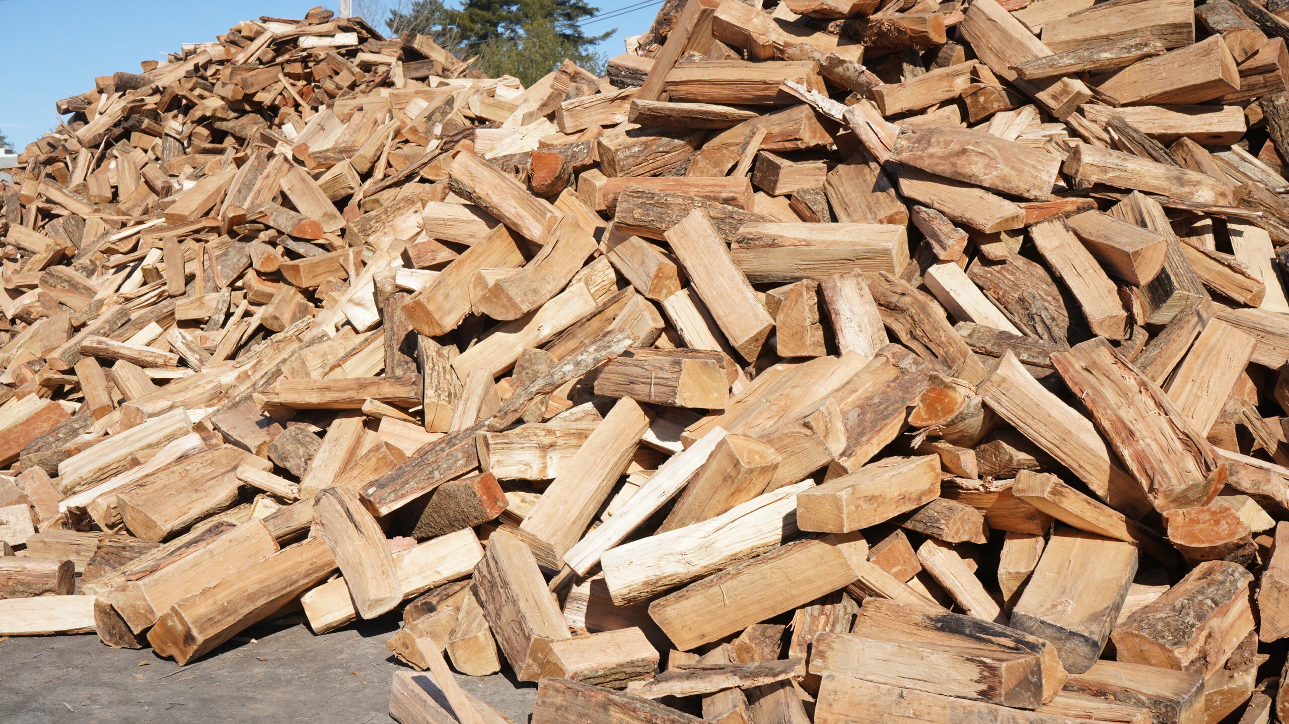 Firewood Marshfield