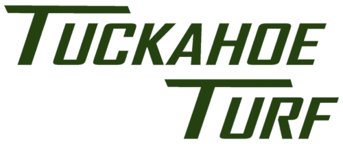 tuckahoe turf marshfield